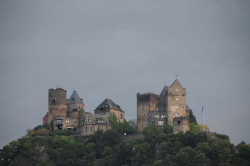 D300_20080913_104_ARI